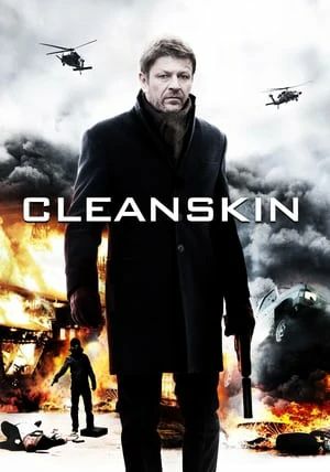 Cleanskin                                2012