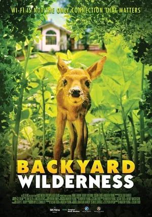 Backyard Wilderness                                2018